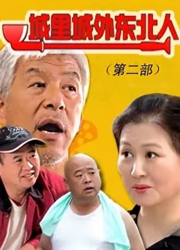 城里城外东北人2