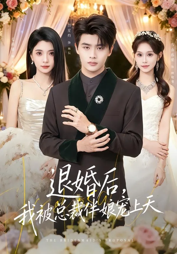 退婚后,我被总裁伴娘宠上天